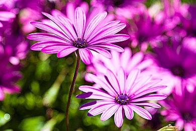 三国类魂新游《卧龙：苍天陨落》首曝实机预告 赵云登场共战妖魔